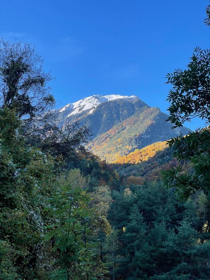 Le Sapin du Renard - B&B Saint-Jean-de-Maurienne