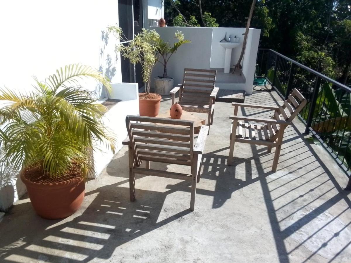 The Oasis Zone - B&B