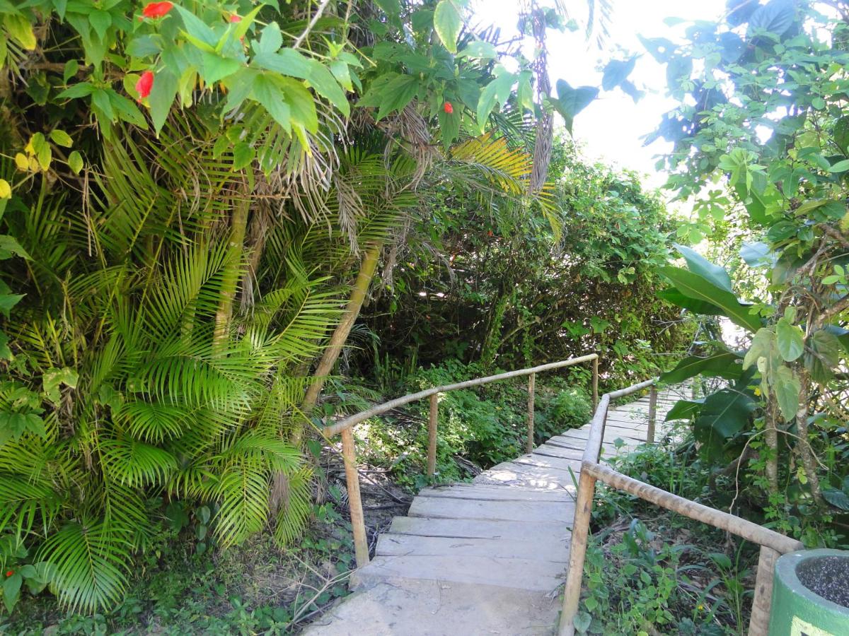 Casa na praia de Itamambuca na cidade de Ubatuba - Bed and Breakfast Ubatuba