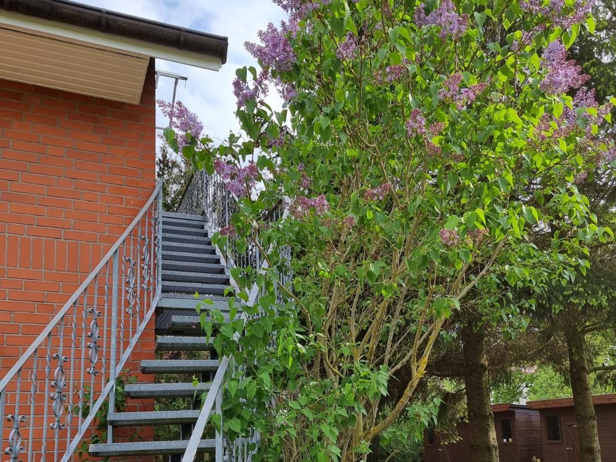 Ferienwohnung Tannenblick-MV - Bed and Breakfast