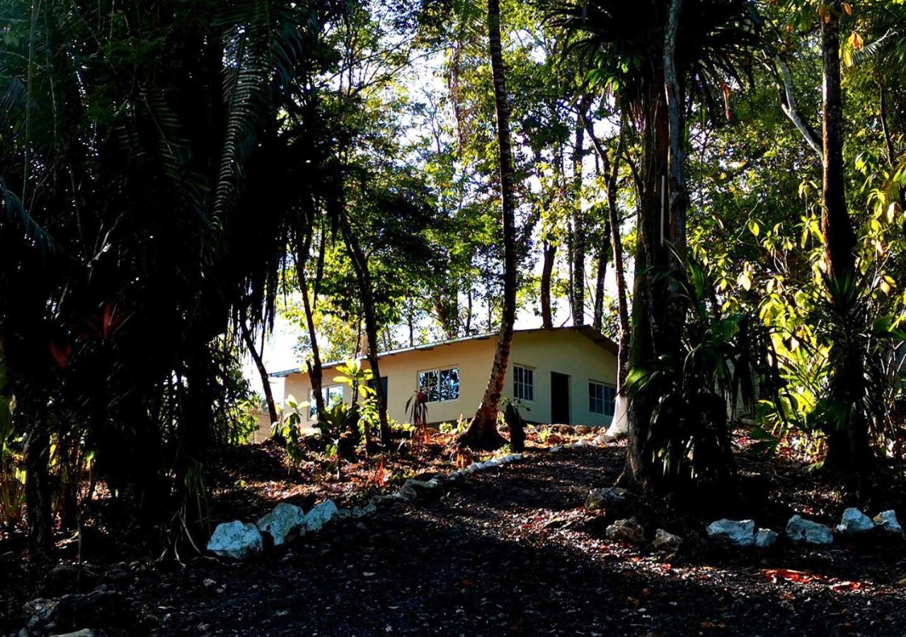 Grutas el Encanto - Casa de la Colina - Ruta a Petén - B&B