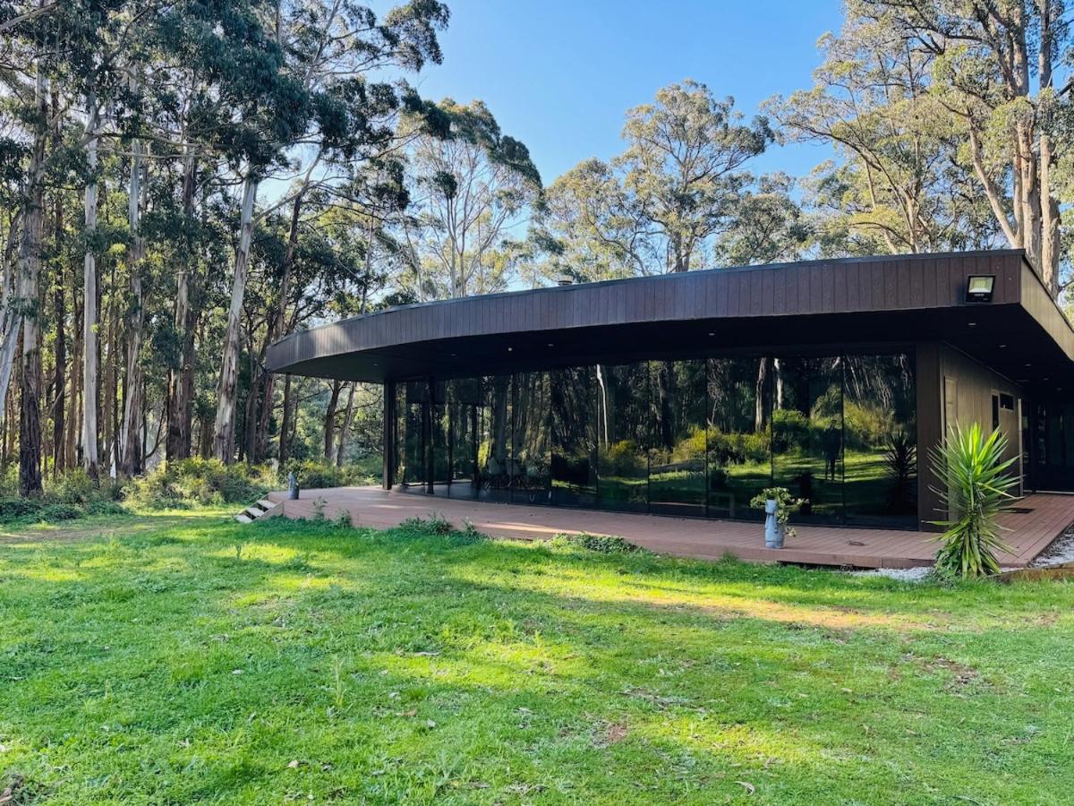 Luxury Evergreen Escape - B&B