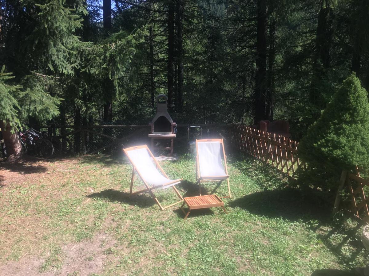 Cozy apartment with private garden, 2 bedrooms - B&B