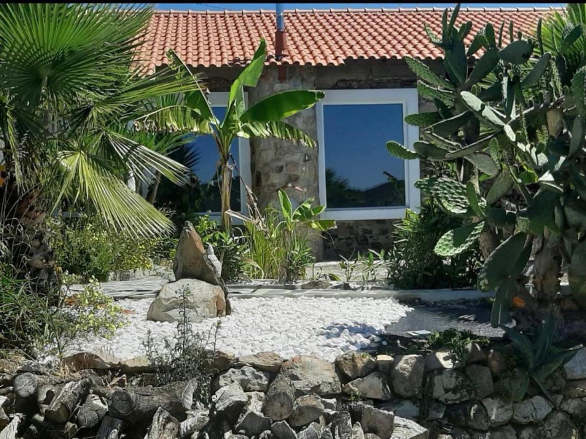 Ola Bella Vista - B&B Figueiró dos Vinhos