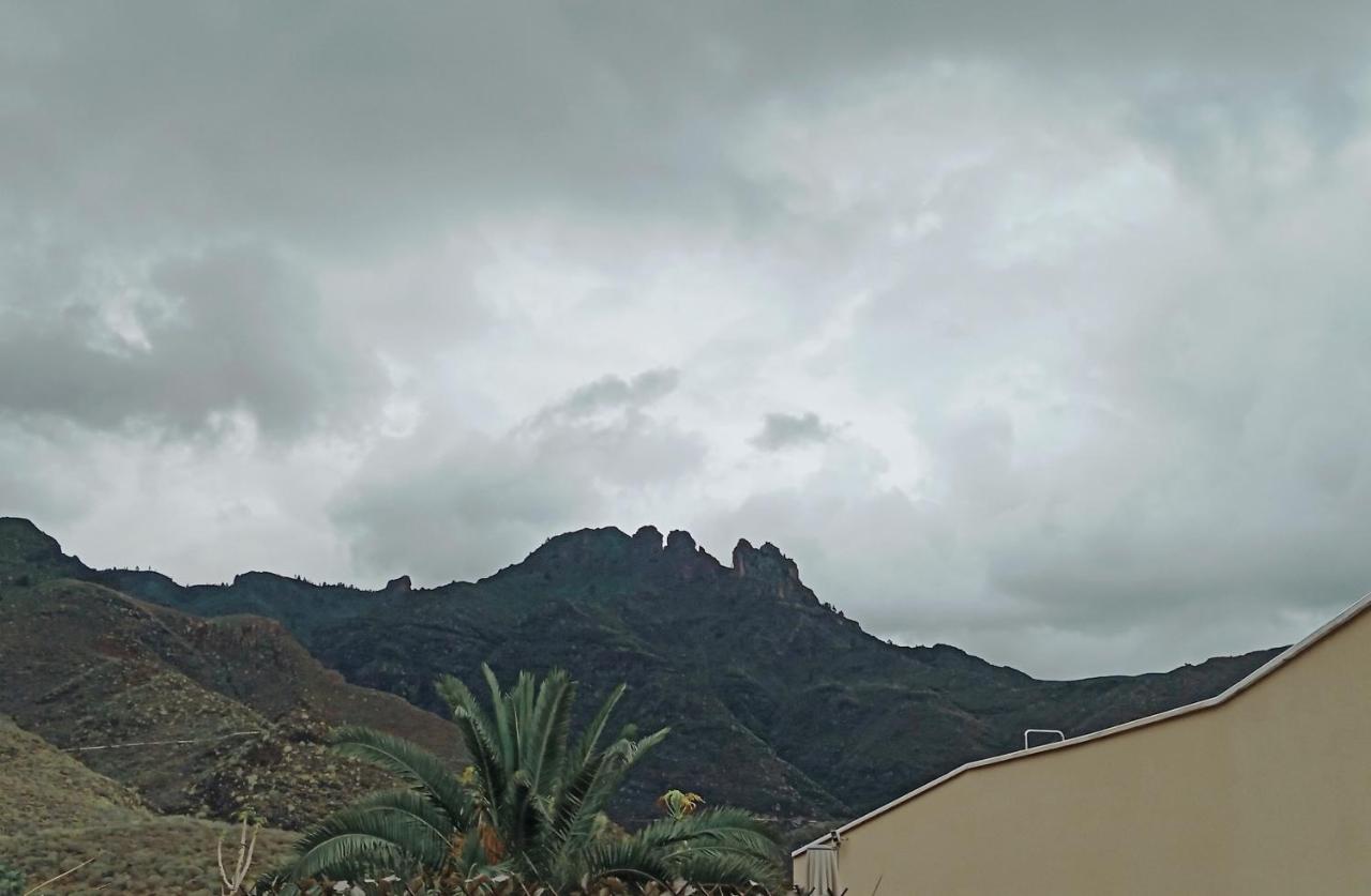 Cozy Carolina II - B&B Adeje