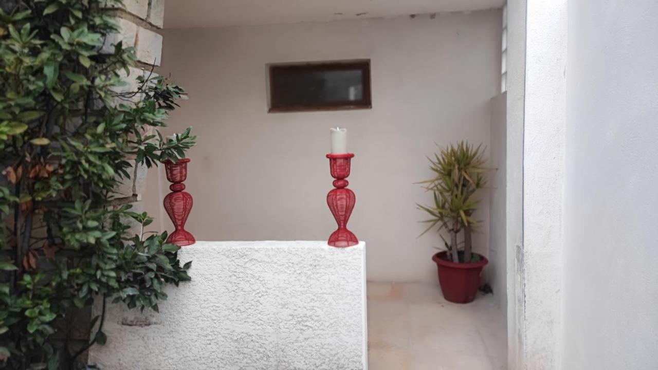 Studio 1 chambre climatisé en camargue - B&B Vauvert