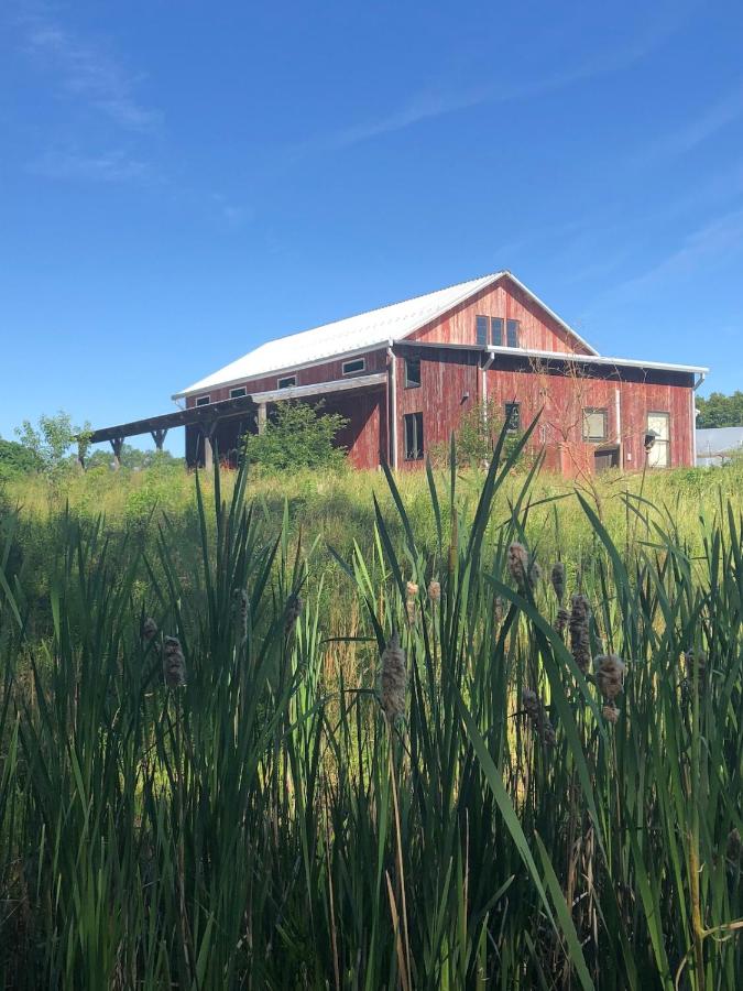 Historic Converted Barn Loft at Sobremesa Farm - B&B