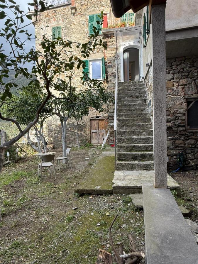 The Orange Garden - B&B Corniglia