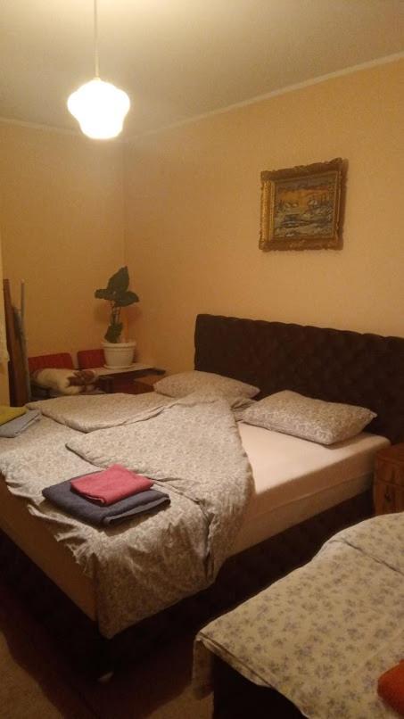 ,,Vruć Vetar,, - B&B Majdanpek