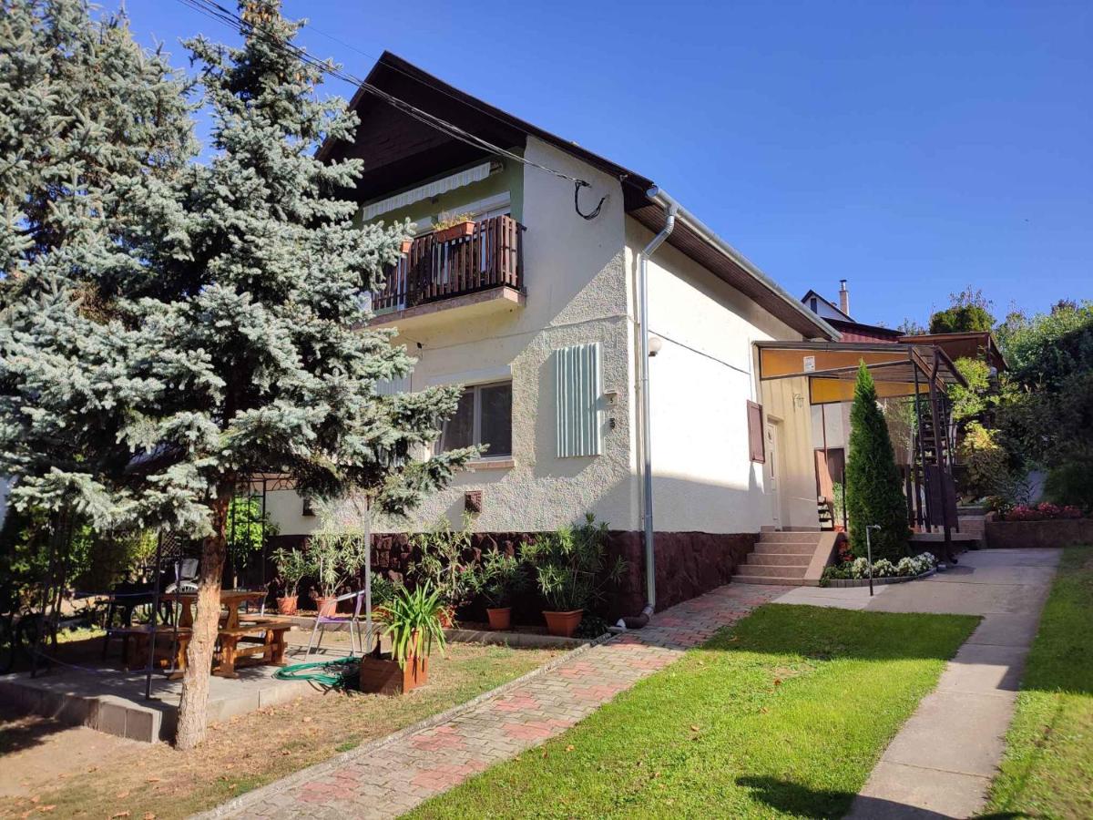 Apartments in Siofok - Balaton 45812 - B&B Siófok
