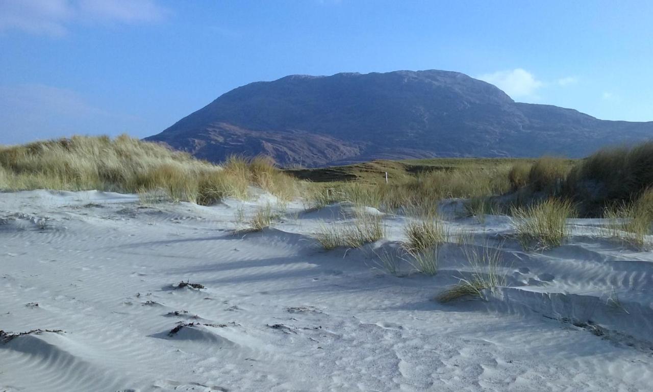 Ocean Lodge B&B - B&B Renvyle