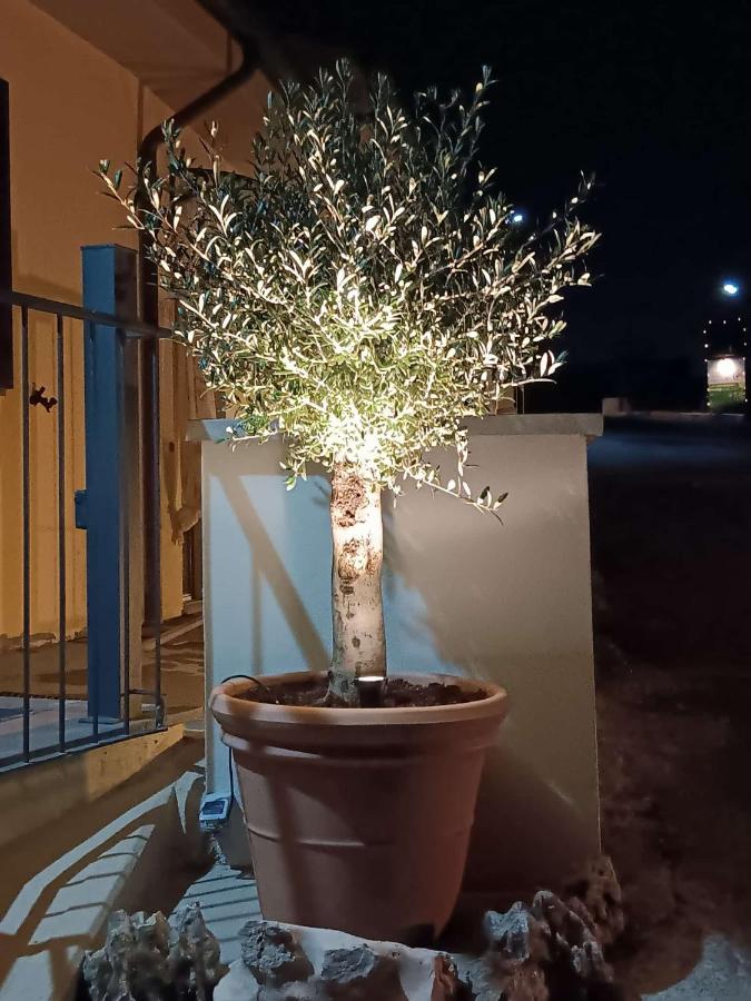 La casina dei Praticelli - Bed and Breakfast