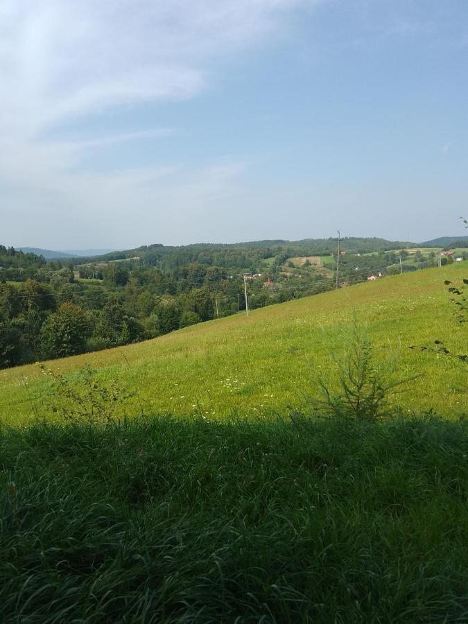 Aroniowe Wzgórze