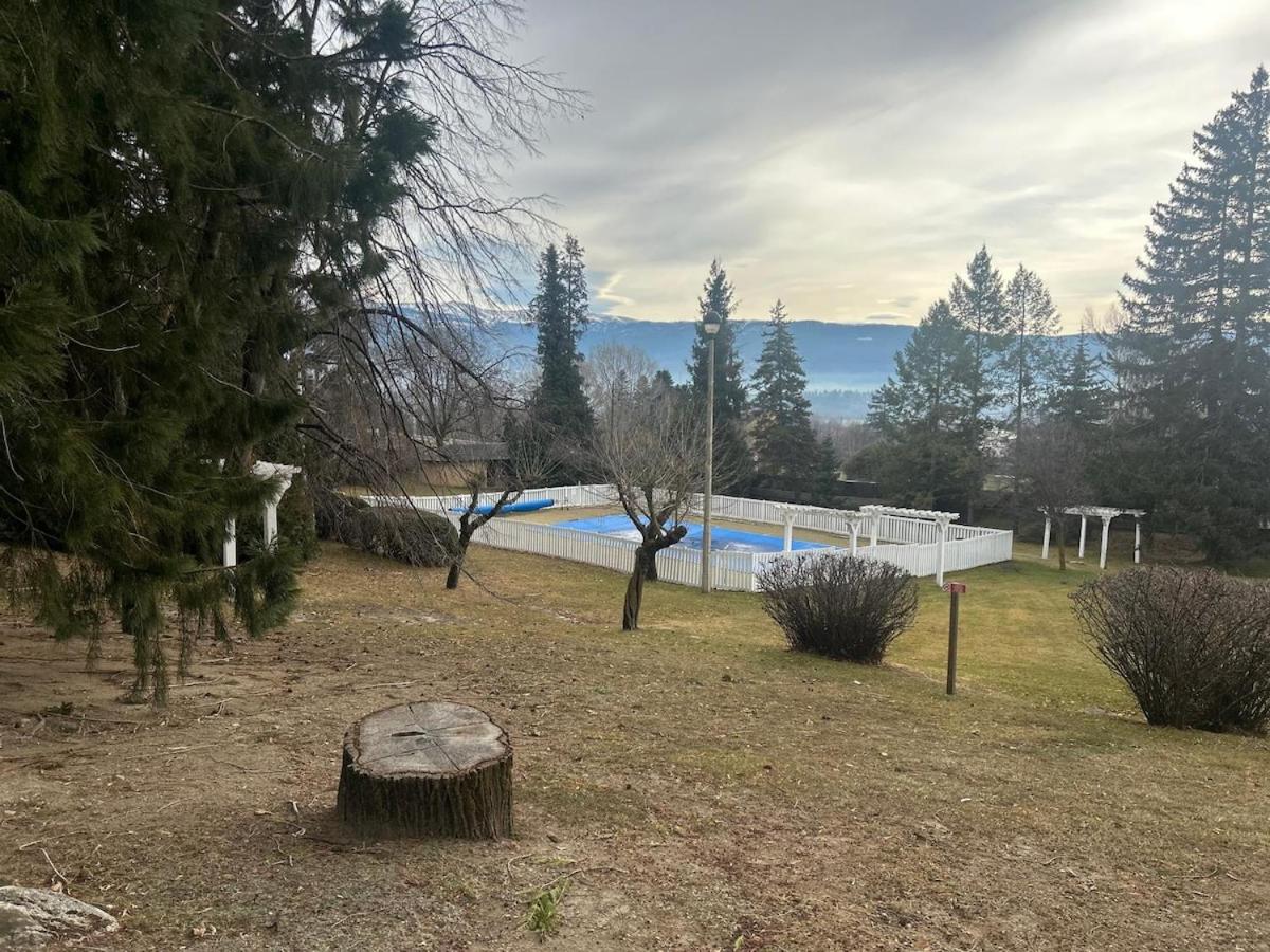 Amplio apartamento con gimnasio y piscina, ideal familias - Bed and Breakfast Enveig