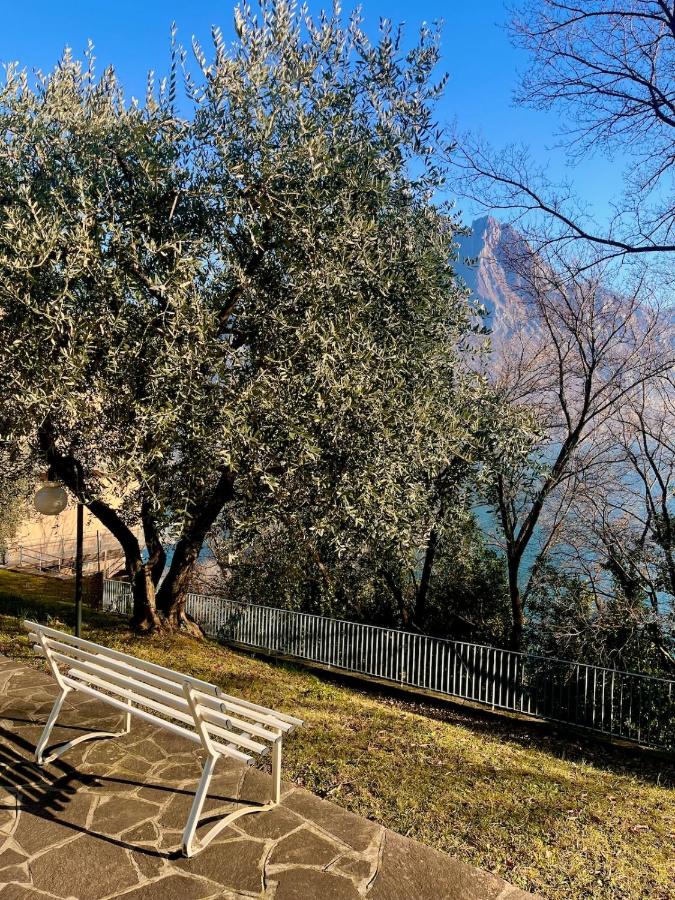 Appartamento sul Lago con Terrazza Panoramica - Chambres d’hôtes