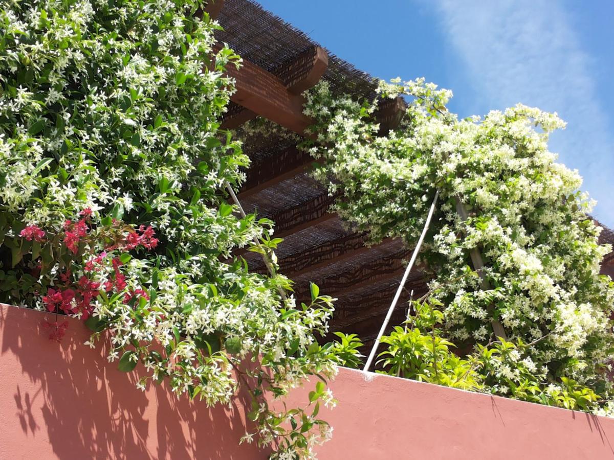 Gato Preto de Silves - Adults Only - B&B
