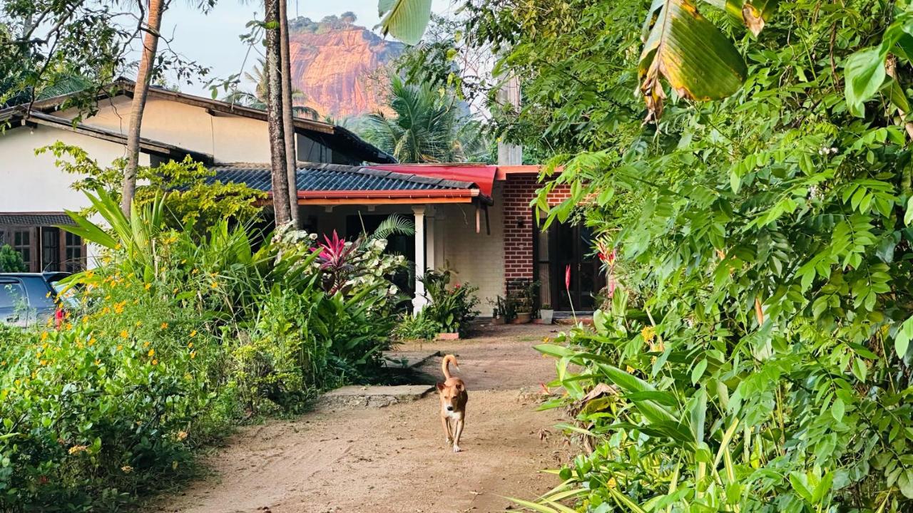 Sigiri Fortress View lodge - B&B