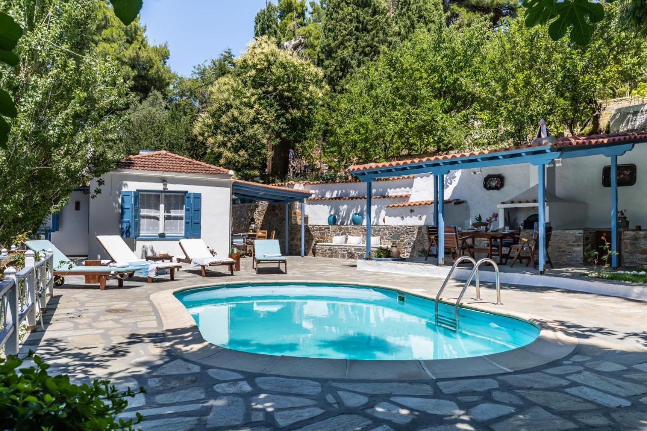 The Blue Cottage - B&B