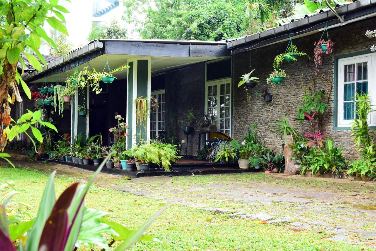 Kandy Garden Retreat - B&B