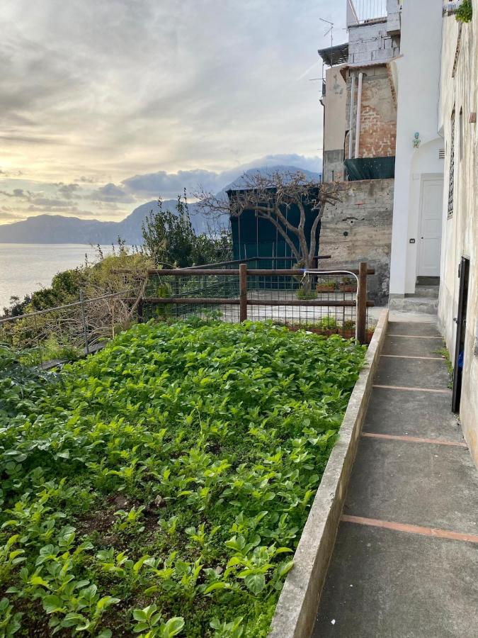 Casa Salvatore - Bed and Breakfast Praiano