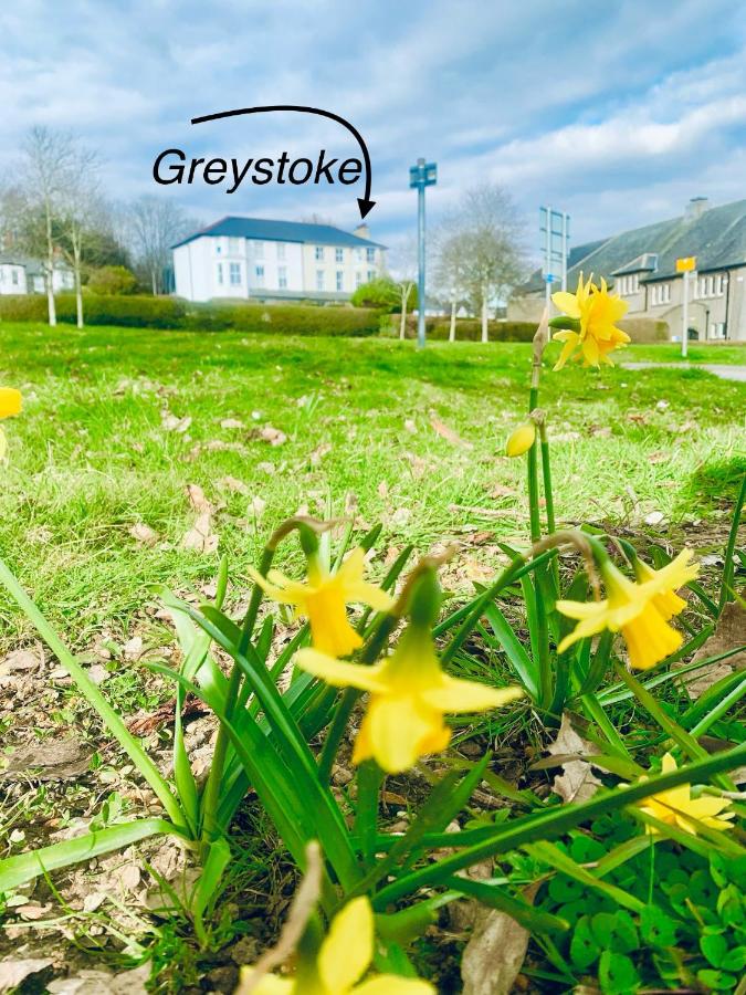 Rooms At Greystoke - B&B