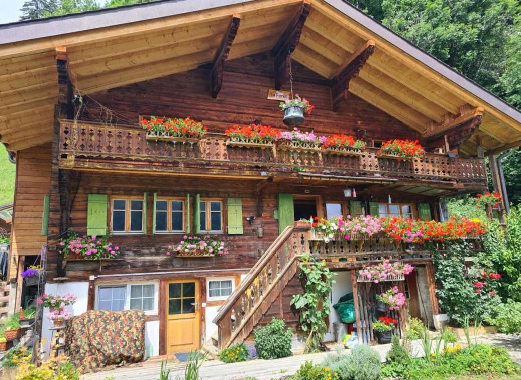 Le Fôret - Cergnat - Bed and Breakfast Le Sépey