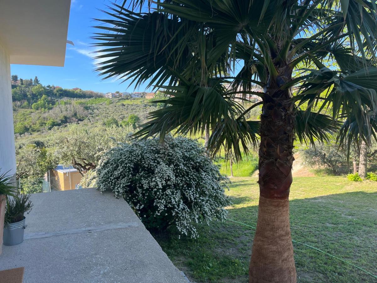Casa Vacanze 365 - blu - Bed and Breakfast