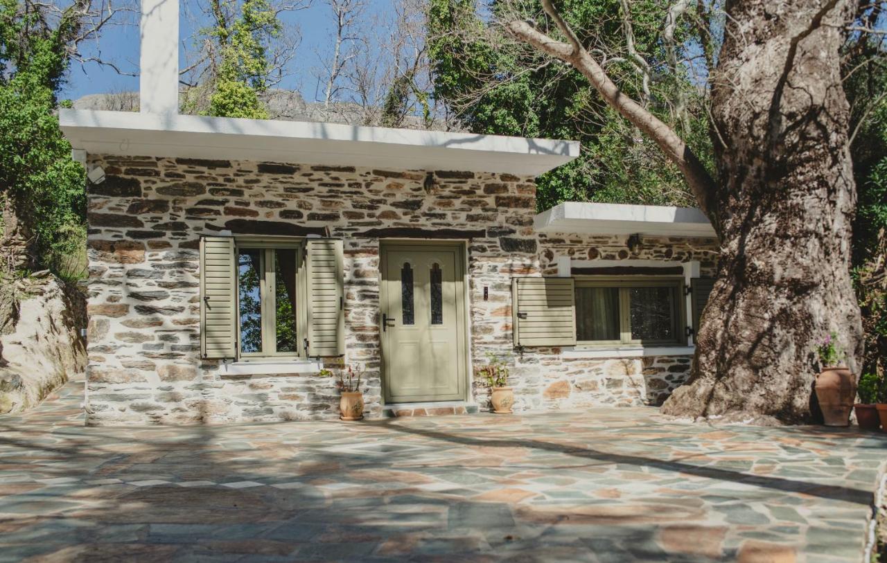 Mylos Nature Retreat - B&B