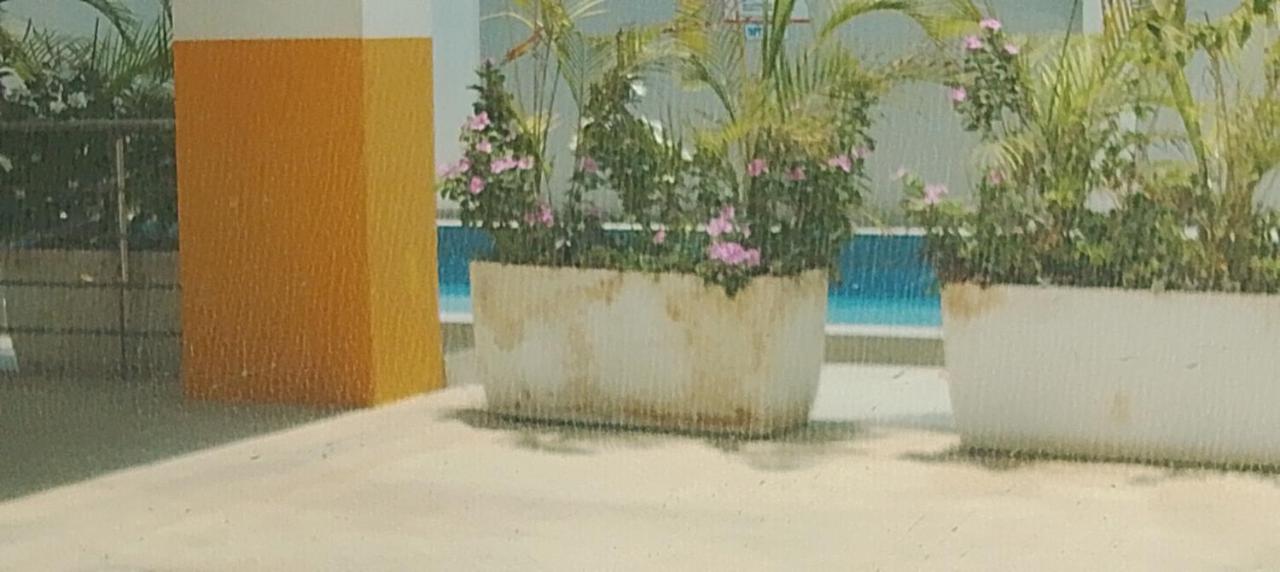 SEBULENI NYALI SEA LUXURY HOMESTAY Mombasa - Bed and Breakfast