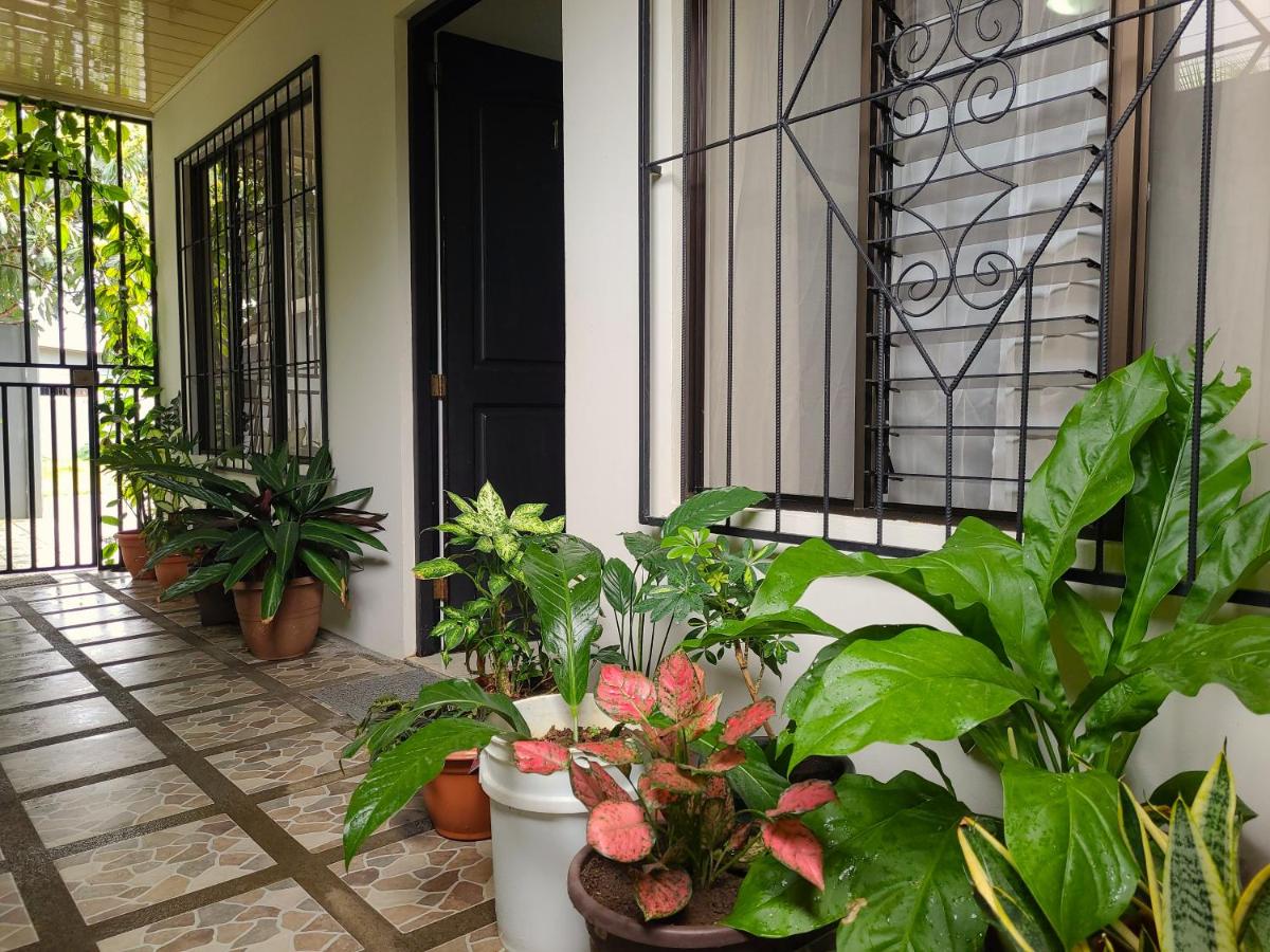 Butterfly Apartments - B&B