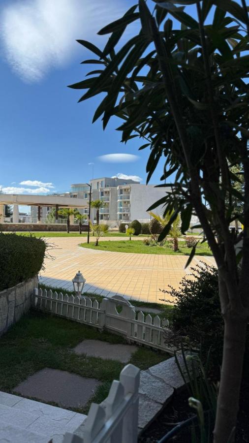 Belyy Lebed - B&B