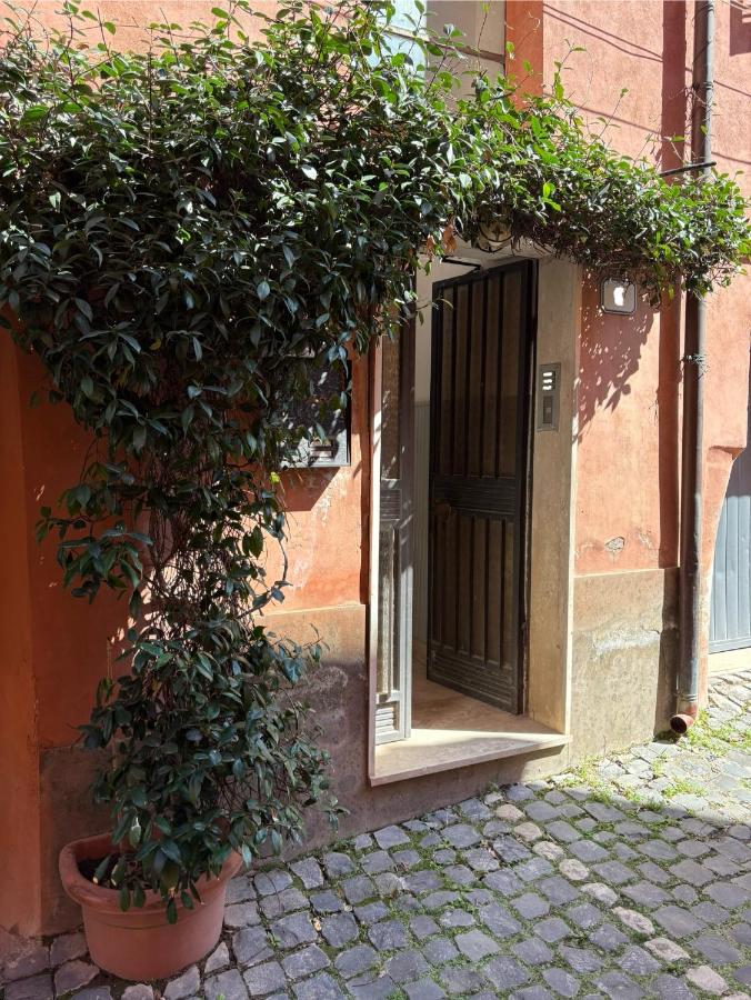 Luna Apartments Tivoli - B&B