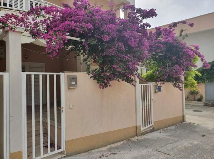 Erika Apartmanok Podgora - B&B Podgora