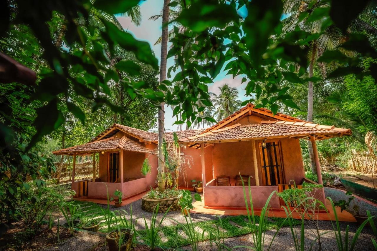 Little Cabanas Udawalawe - B&B Udawalawa