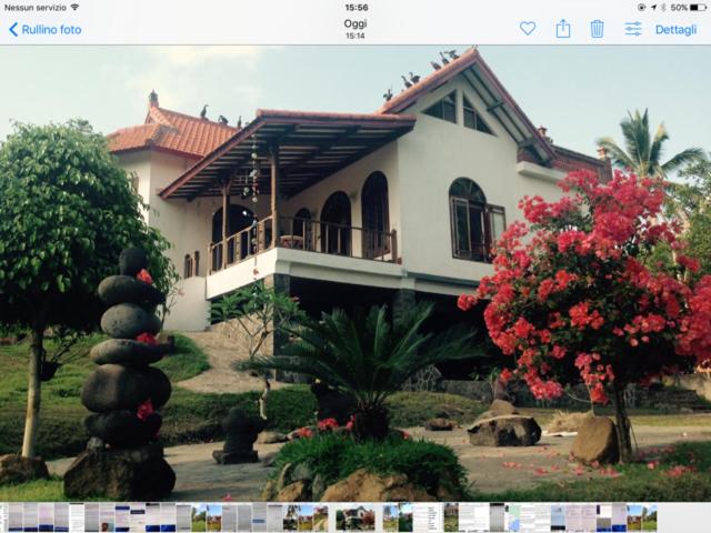 Green hill dream - B&B