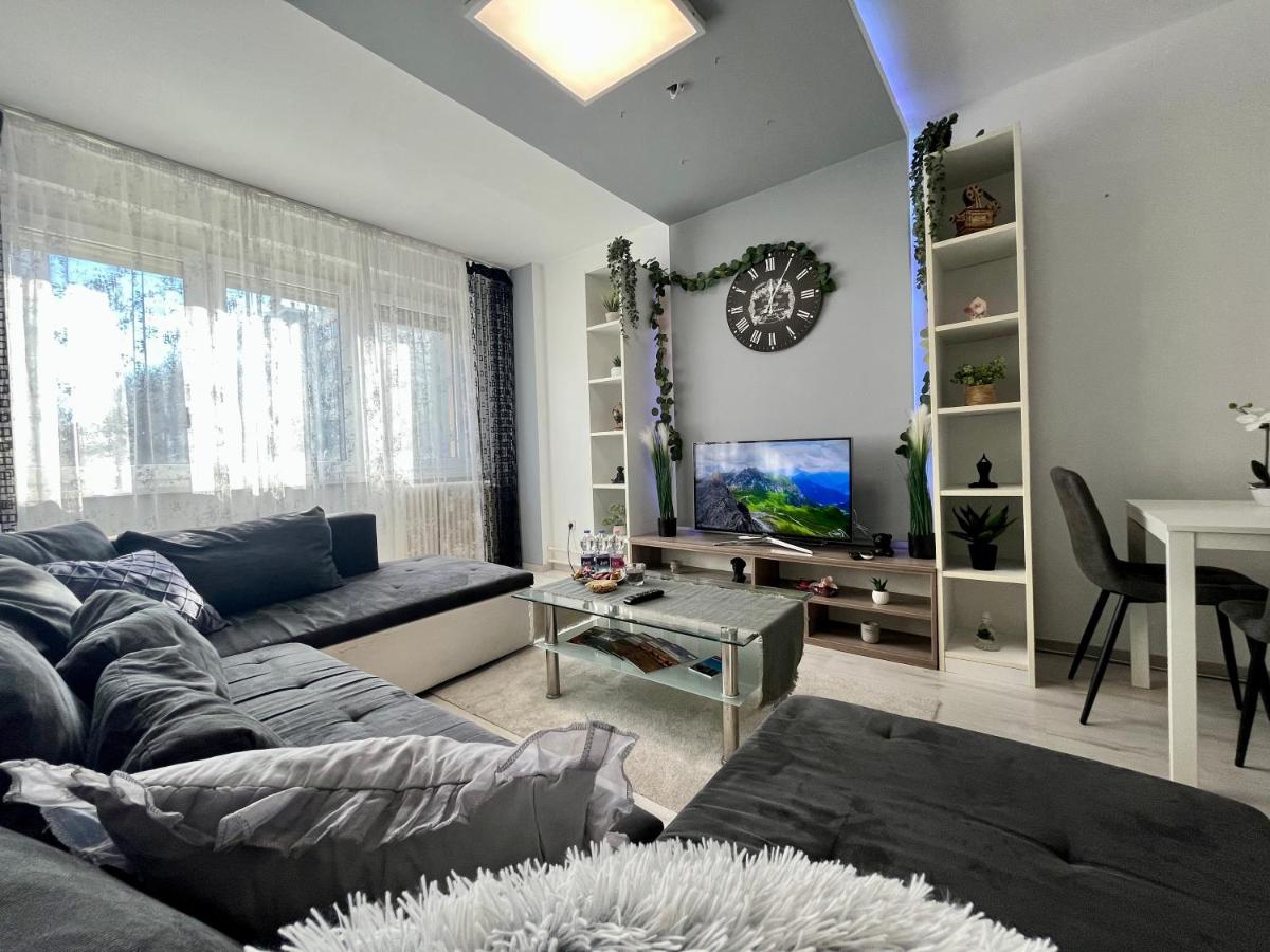GreatForestSportAndSpaUniversityFlat - B&B