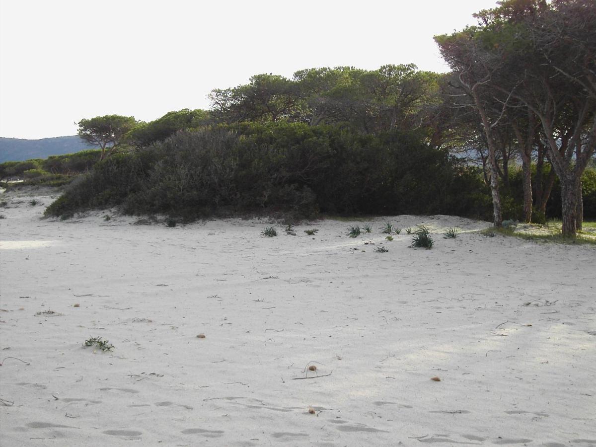 Casetta sul Mare - Bed and Breakfast Budoni
