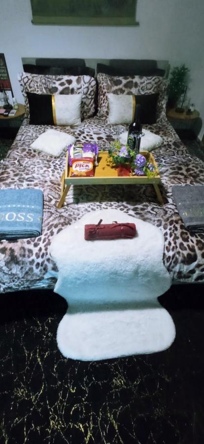 Apartamento de 1 dormitorio