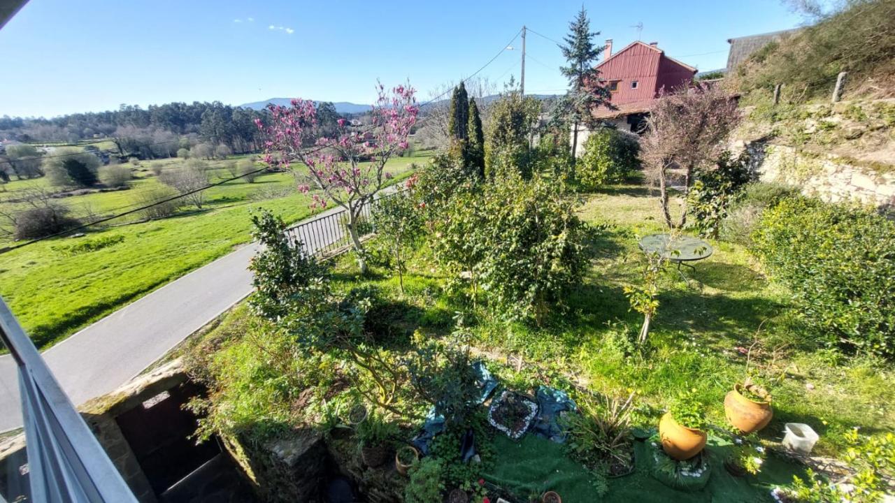 Casa Kamelias - B&B