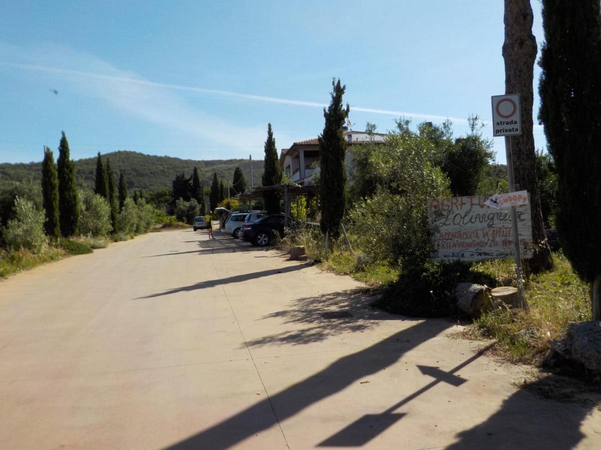 dalla campagna al mare - Ferienwohnung Campiglia Marittima