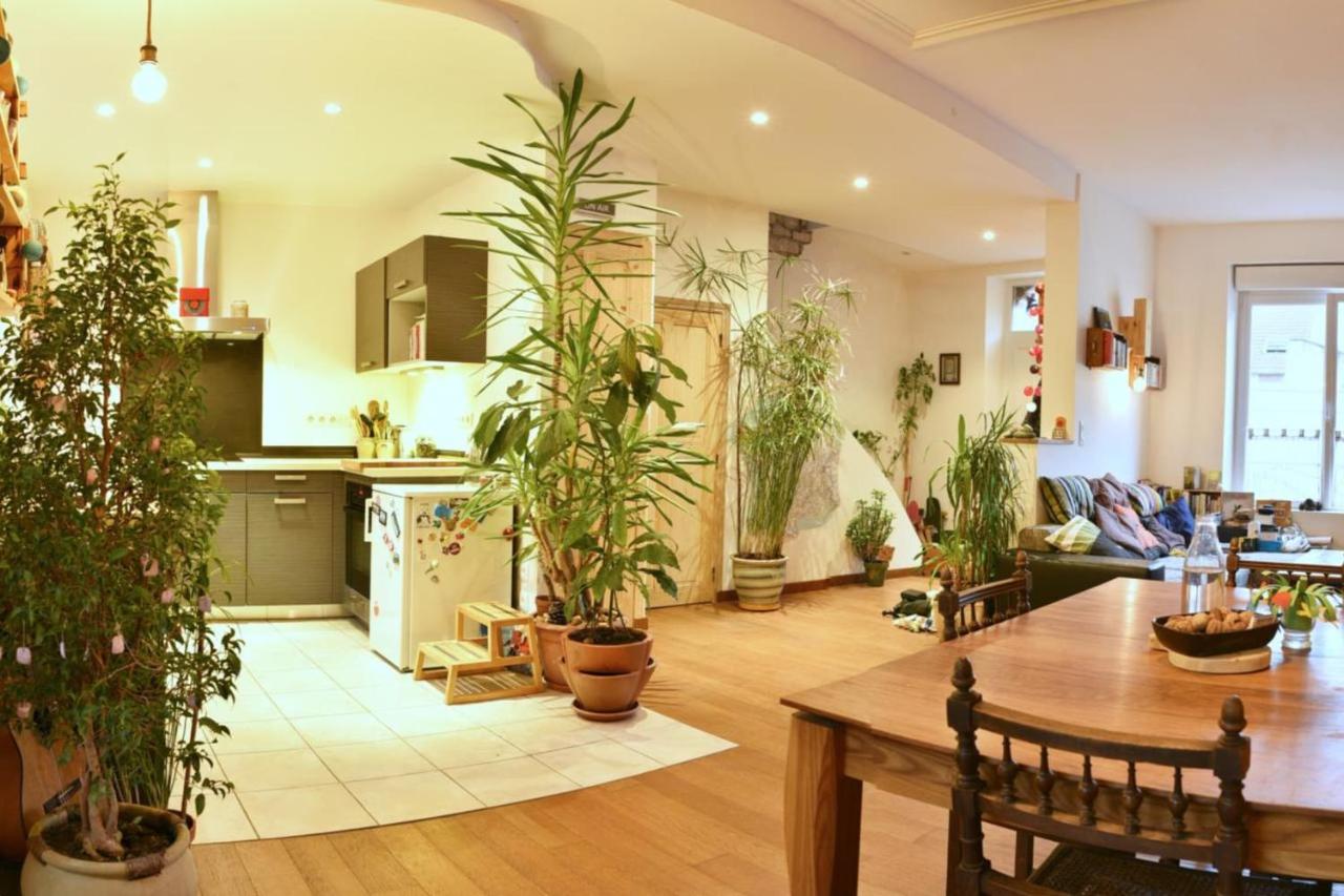 Chaleureuse maison Nancéienne - Ferienwohnung Nancy