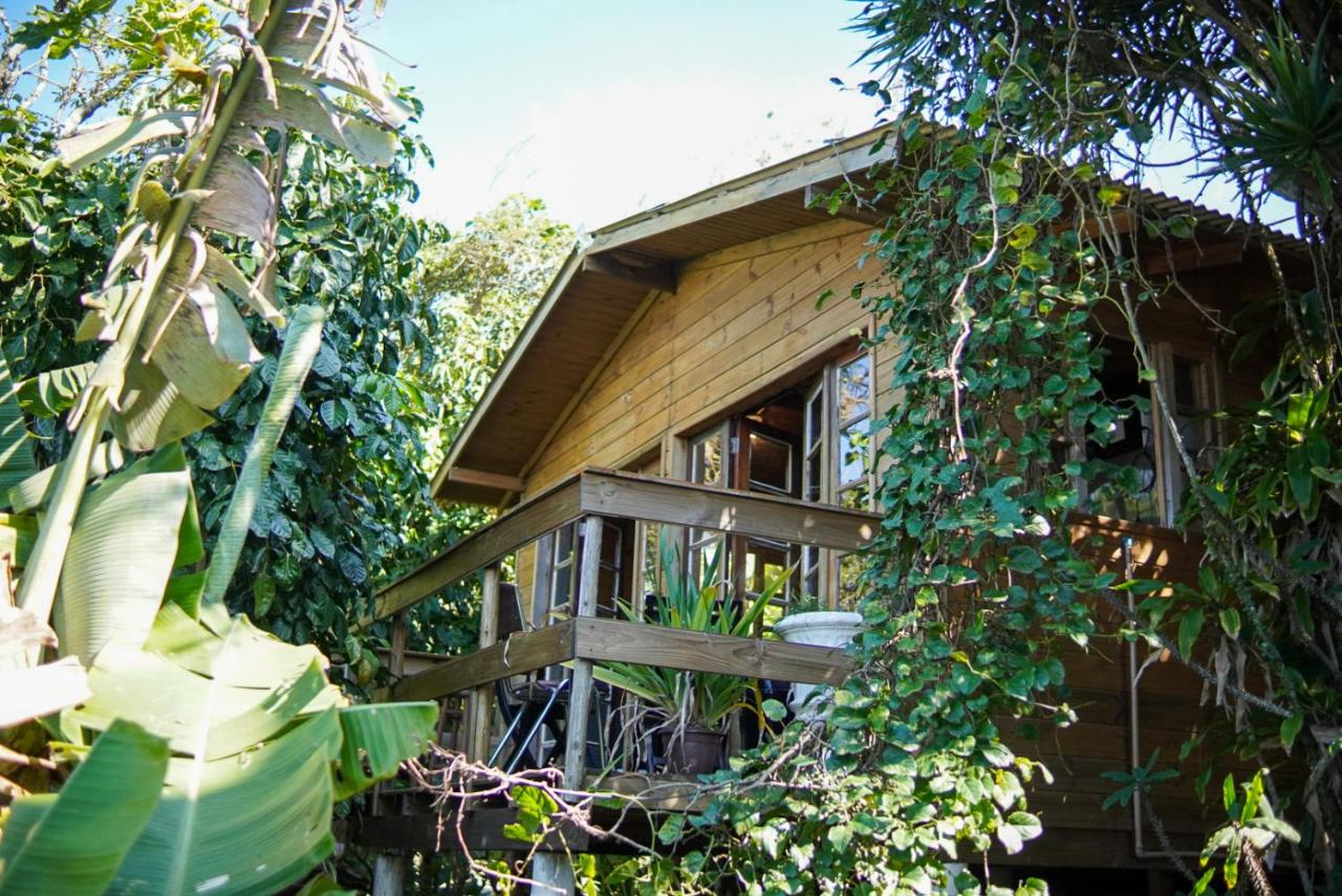 Cabana Solitude - Marujo - B&B Florianópolis