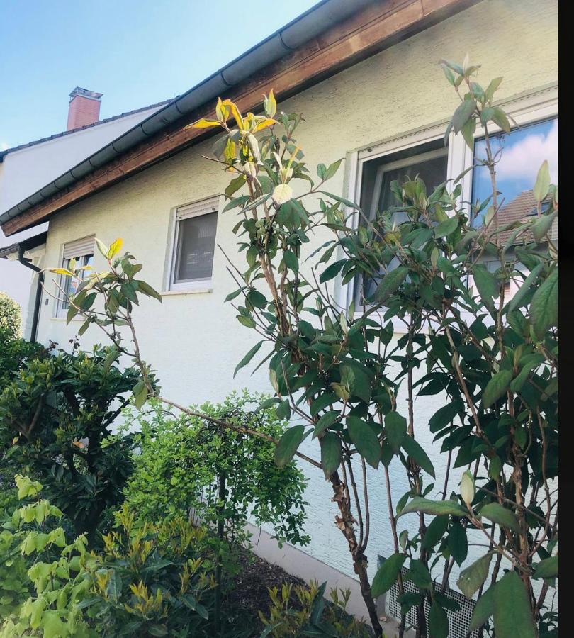 Ferienwohnung Feldmann - Chambres d’hôtes Freckenfeld