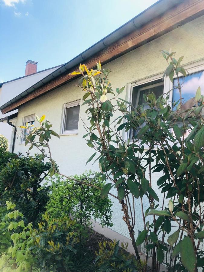 Wohnung Feldmann - B&B