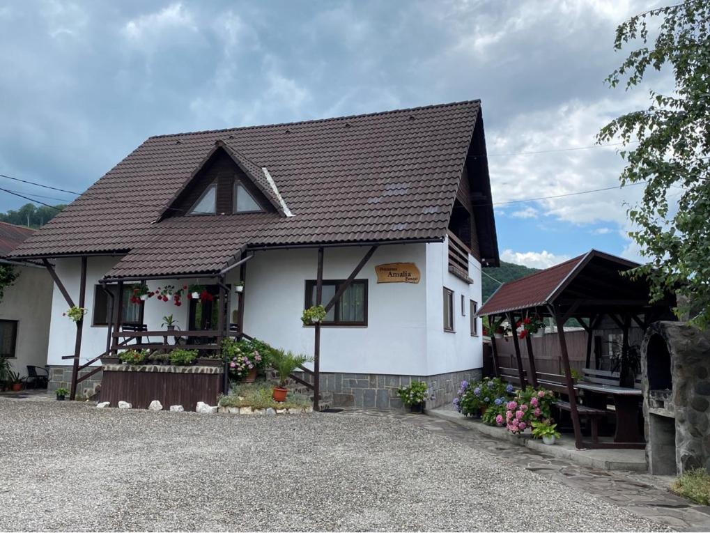 Pensiunea AMALIA Panzió - B&B Praid