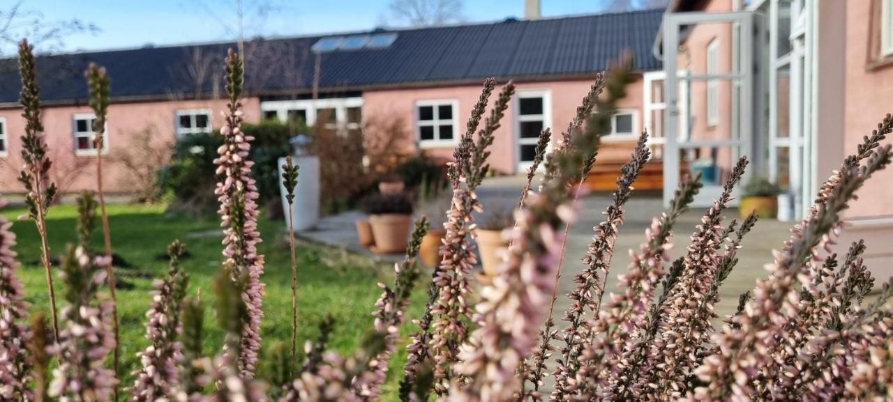 Rødegaard Mols - B&B