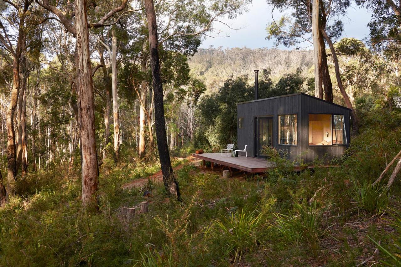 Ribbon Gum Retreat - B&B Reidsdale