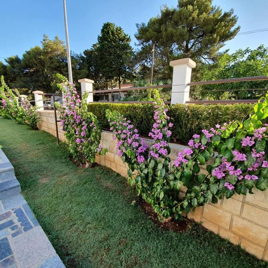 Vila Karolina - B&B Biograd na Moru
