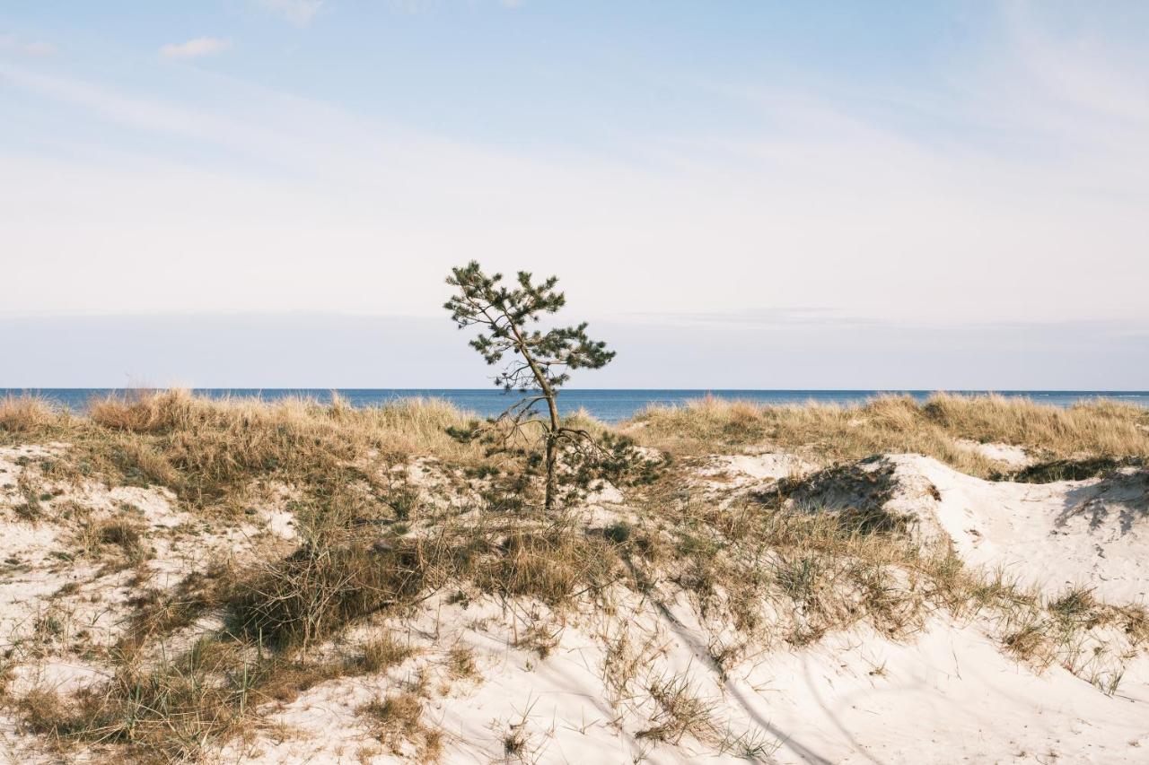Eco Beach Camp - B&B