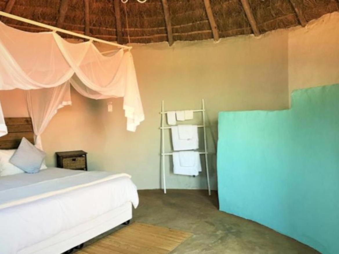 Comfort Dormitory Room